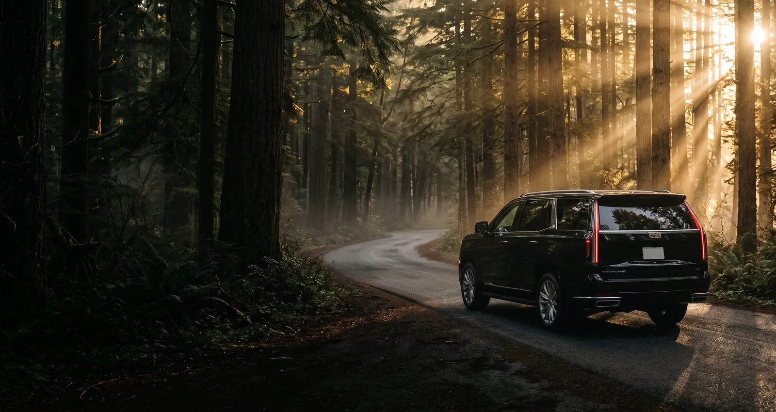 Black Cadillac Escalade on a forest parkway in early morning light